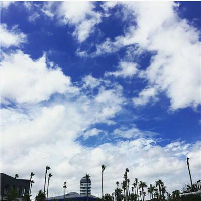 买球的app排行榜前十名推荐下载手机版